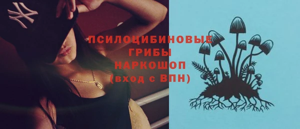 шишки Осинники