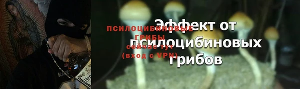 а пвп мука Балабаново