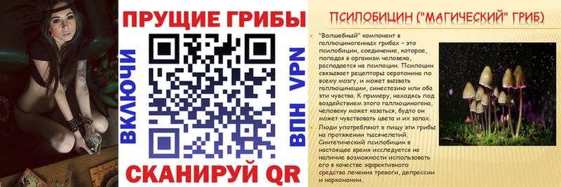 darknet состав  Пенза  Псилоцибиновые грибы GOLDEN TEACHER 